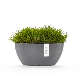 Ecopots Sofia 30 Blaugrau Small grey pot containing lush green grass.
